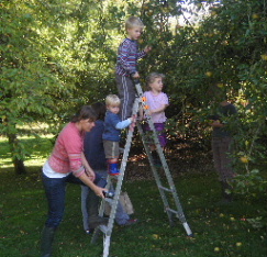 Apple picking with the Allens