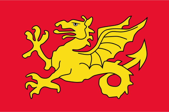 The Wessex flag