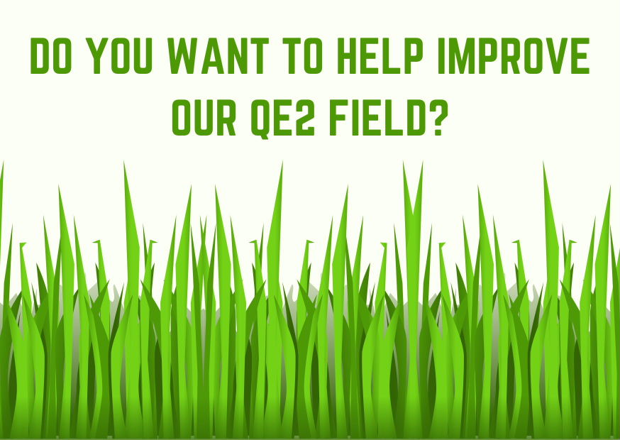 Help improve QE2 Field logo