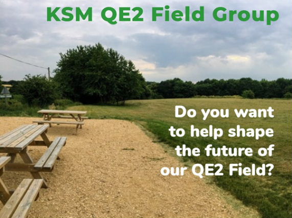 QE2 Field Group - help wanted